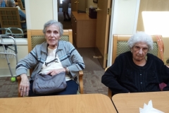 album_51_175